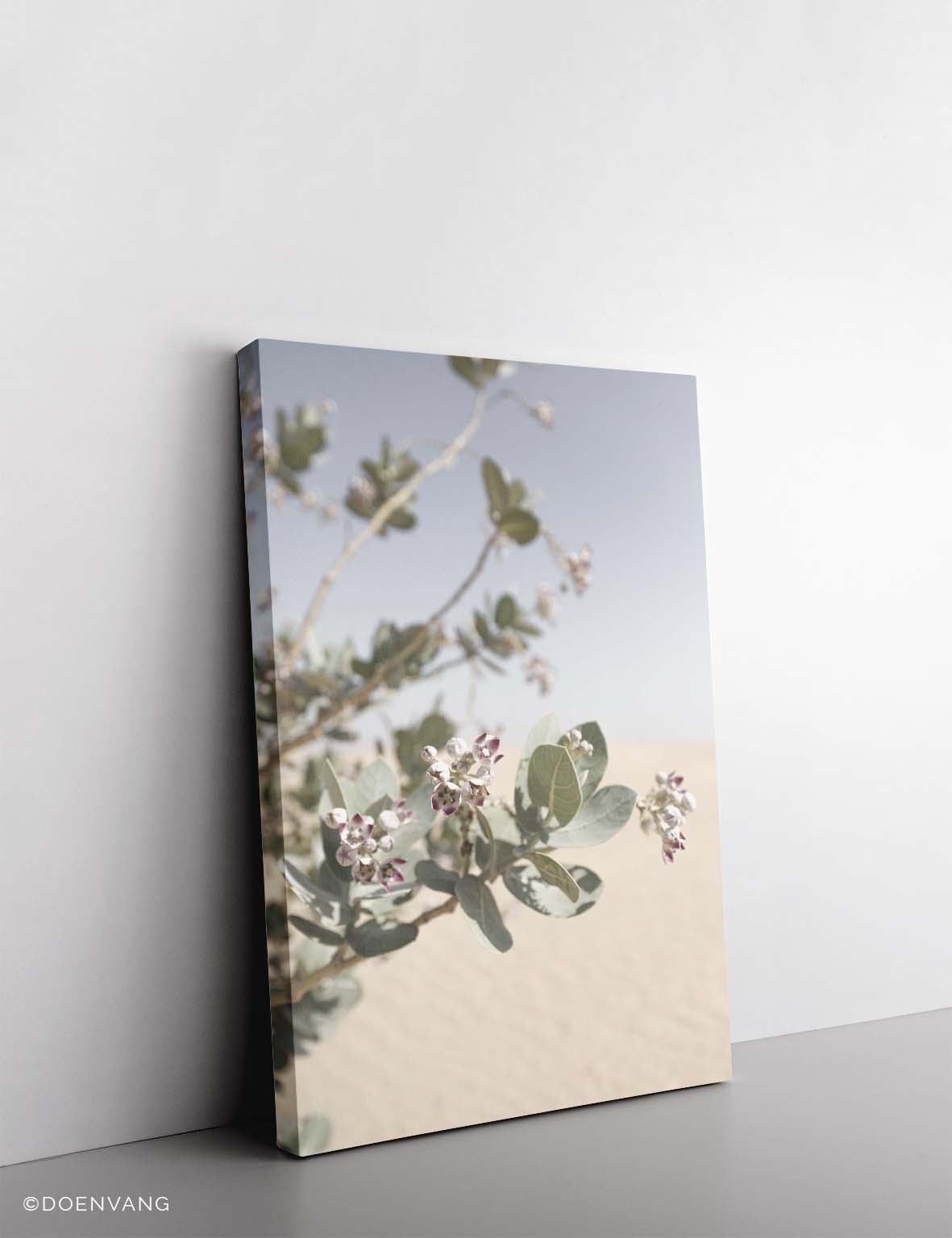 CANVAS | Ökenblomma #1