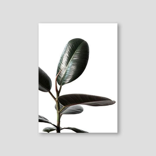 Rubberplant #1 - Doenvang