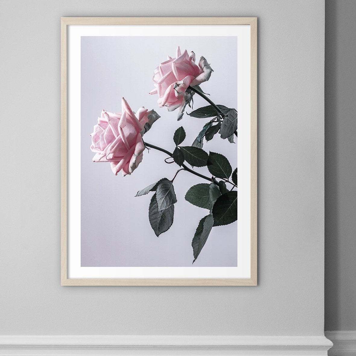 Two Pink Roses Sideways - Doenvang
