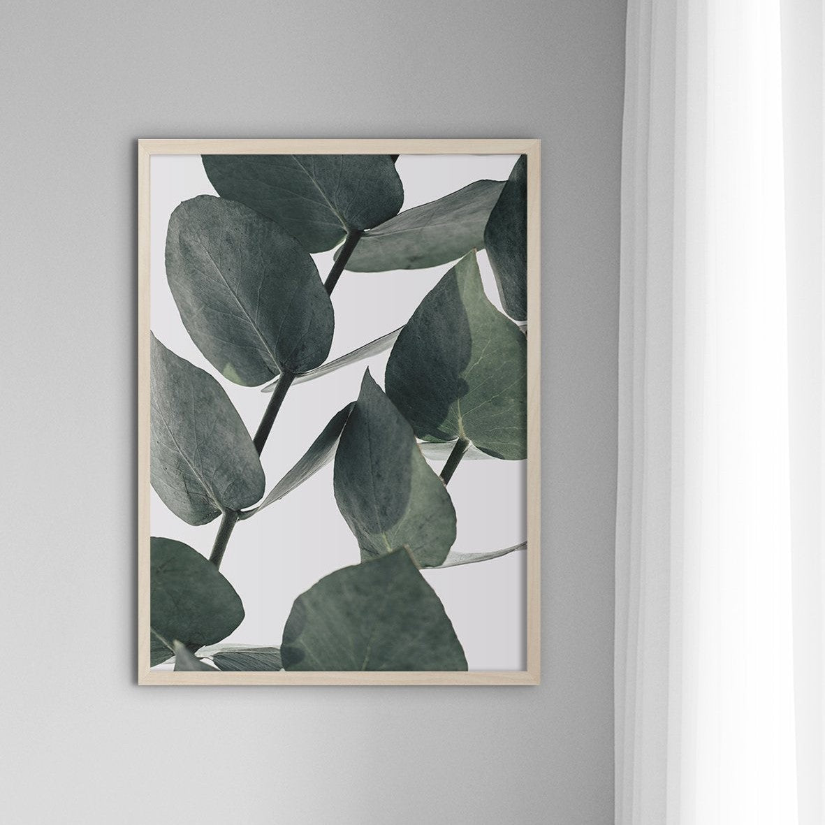 Eucalyptus #2 - Doenvang