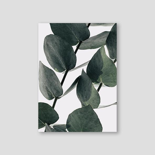 Eucalyptus #2 - Doenvang