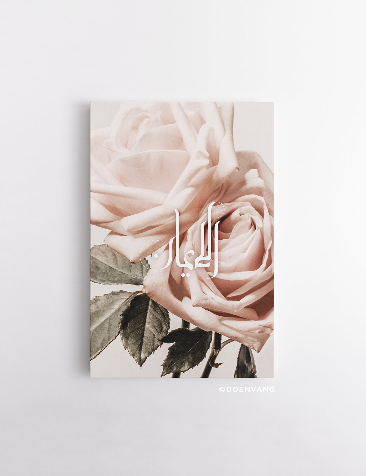 CANVAS | Vintage Rose Al Iman