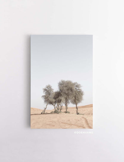 CANVAS | Desert Trees #1