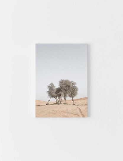 CANVAS | Desert Trees #1