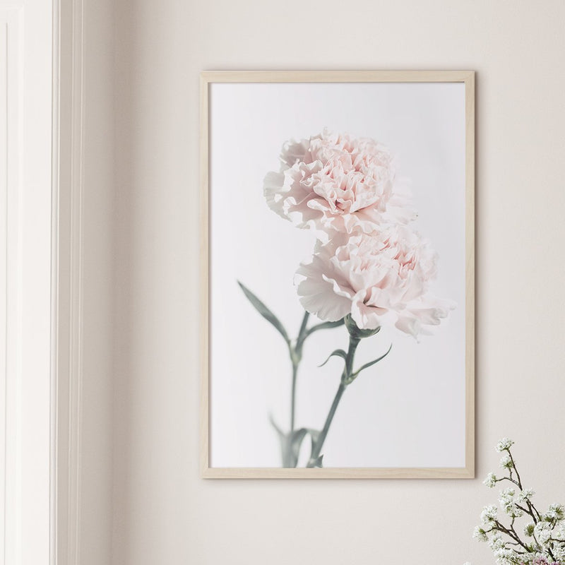 Pink Carnations #3 - Doenvang