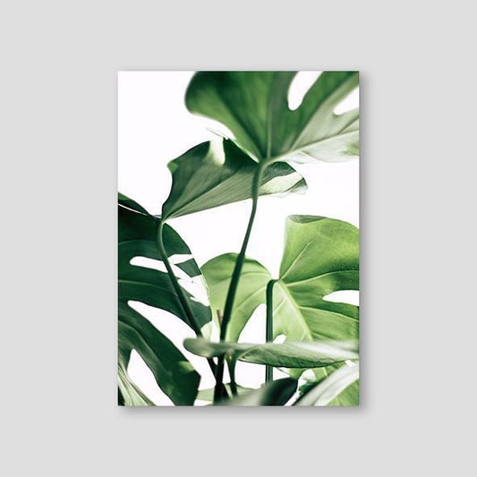 Monstera #3 - Doenvang