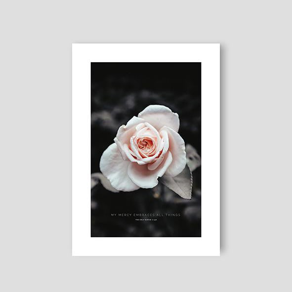 My Mercy, Rose - Doenvang