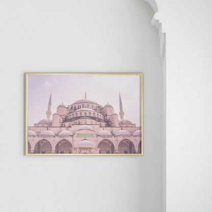 Sultan Mehmet, Pink - Doenvang