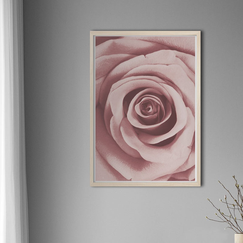 Pink Rose - Doenvang